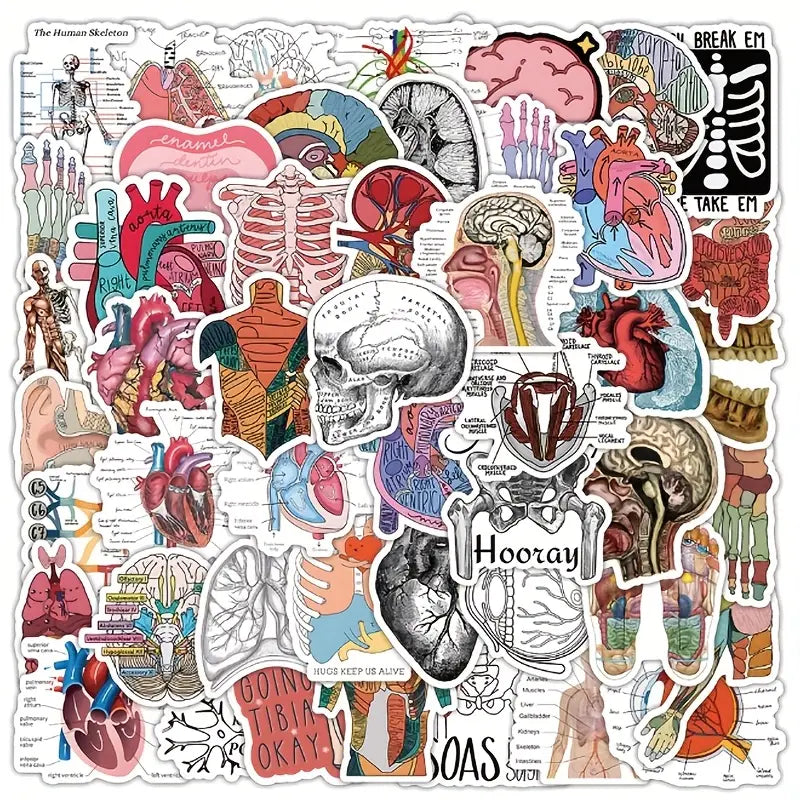 Anatomy Sticker Pack – 50 Pieces